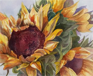 Jennifer Hennessey's Sunflowers